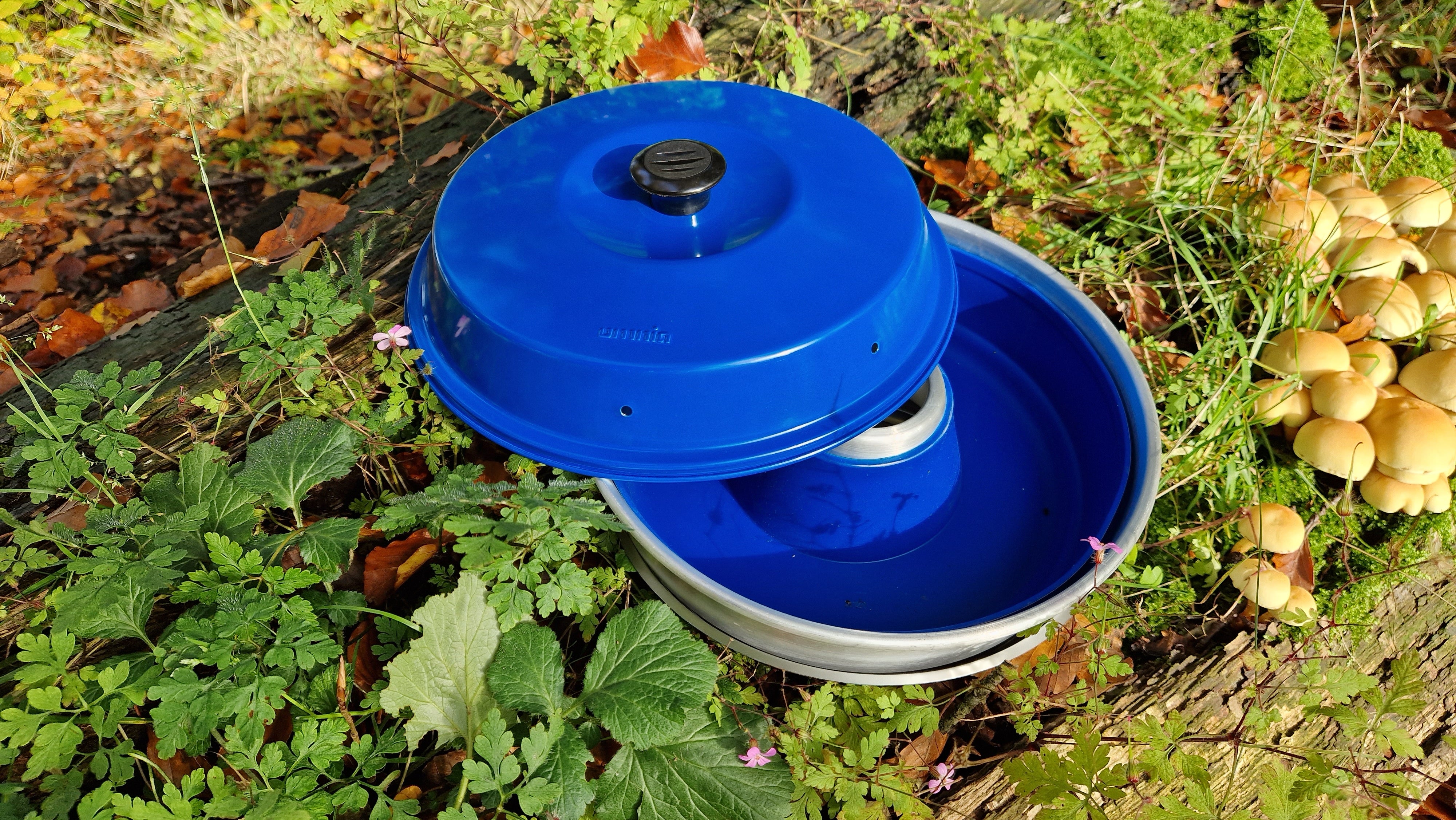 Silikonform, blau