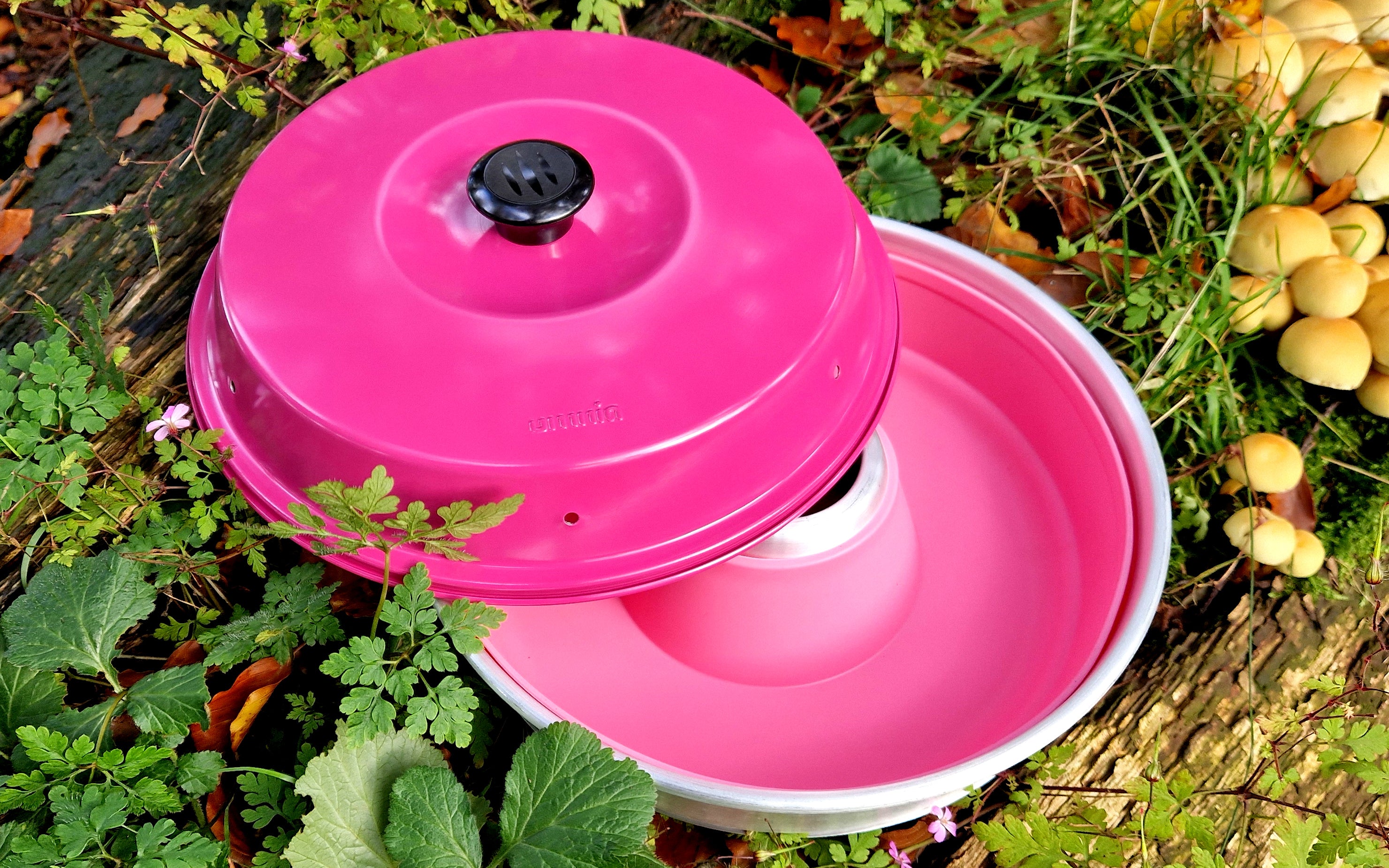 Runder rosa Deckel mit schwarzem Knopf-Griff sitzt auf einem passenden rosa Topf und ist von Gras, Blättern und gelben Früchten umgeben