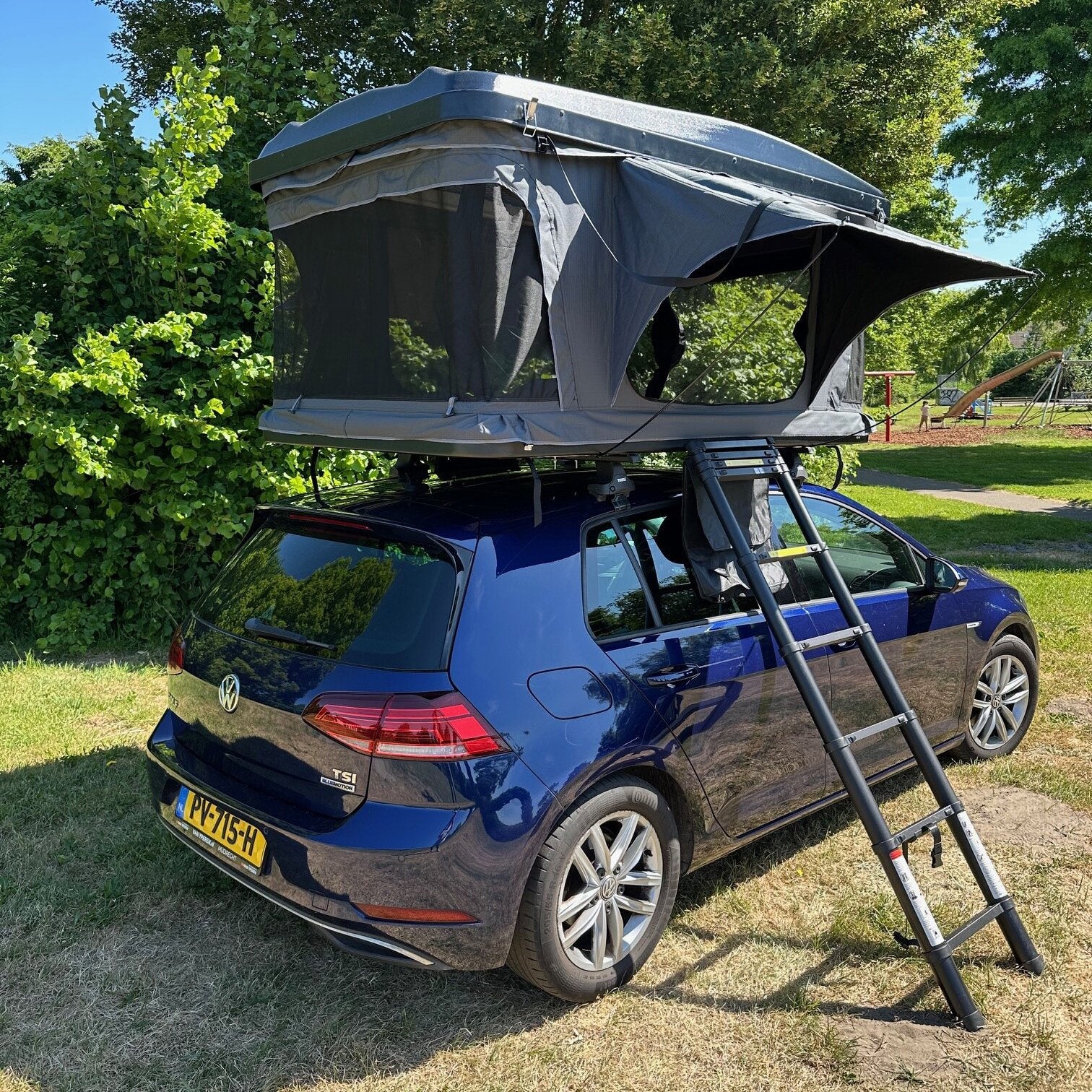 Dachzelt Zambezi in grauem Stoff auf blauem VW-Kombi montiert, vollständig geöffnet mit Leiter, seitliche Netzfenster, Parklandschaft im Hintergrund