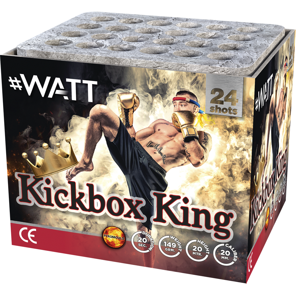 Lesli 1024 Kickbox King Feuerwerksbatterie