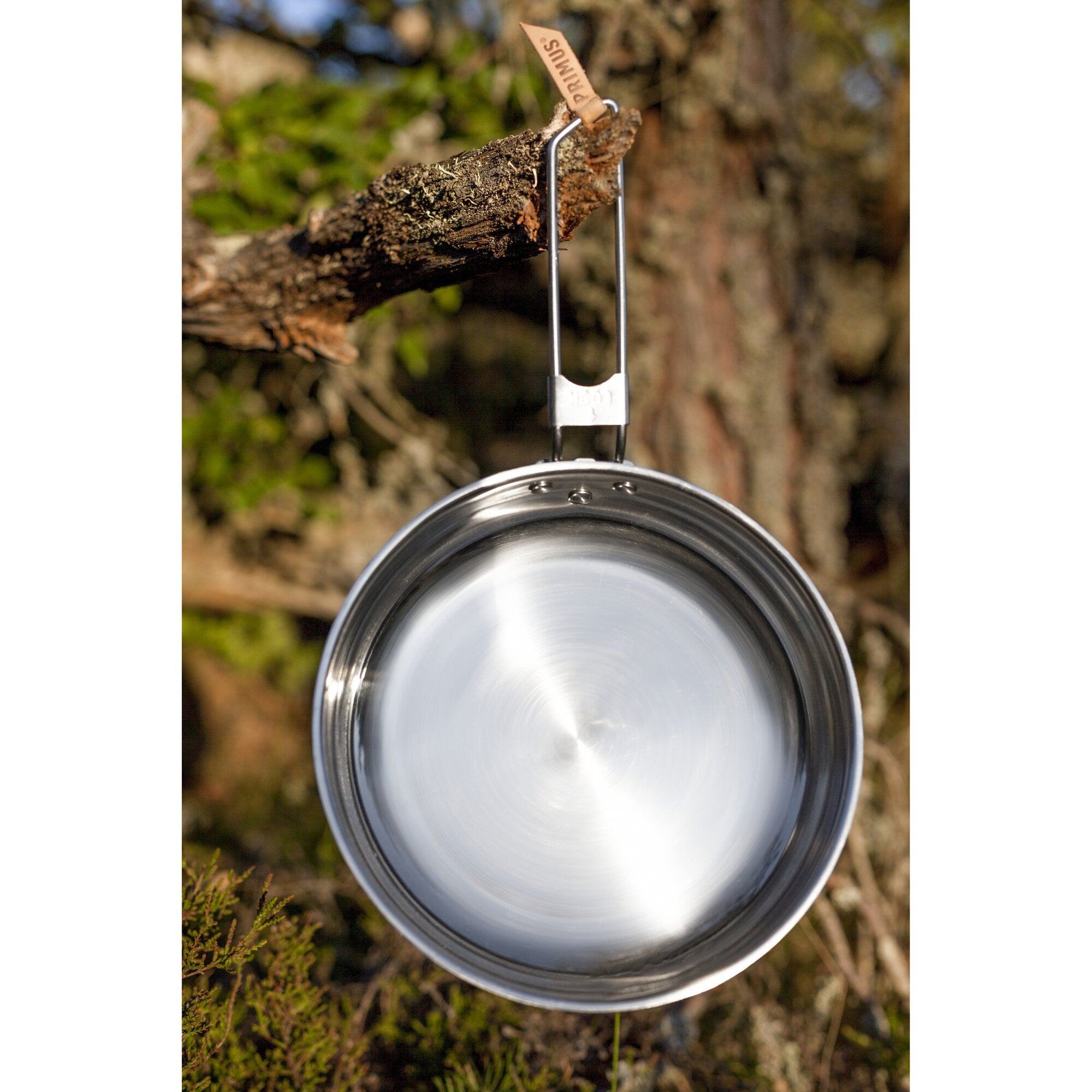 Campfire Pfanne, 25 cm Durchmesser, aus Edelstahl, hängt an einem Metallhaken von einem Ast, unscharfer Waldhintergrund