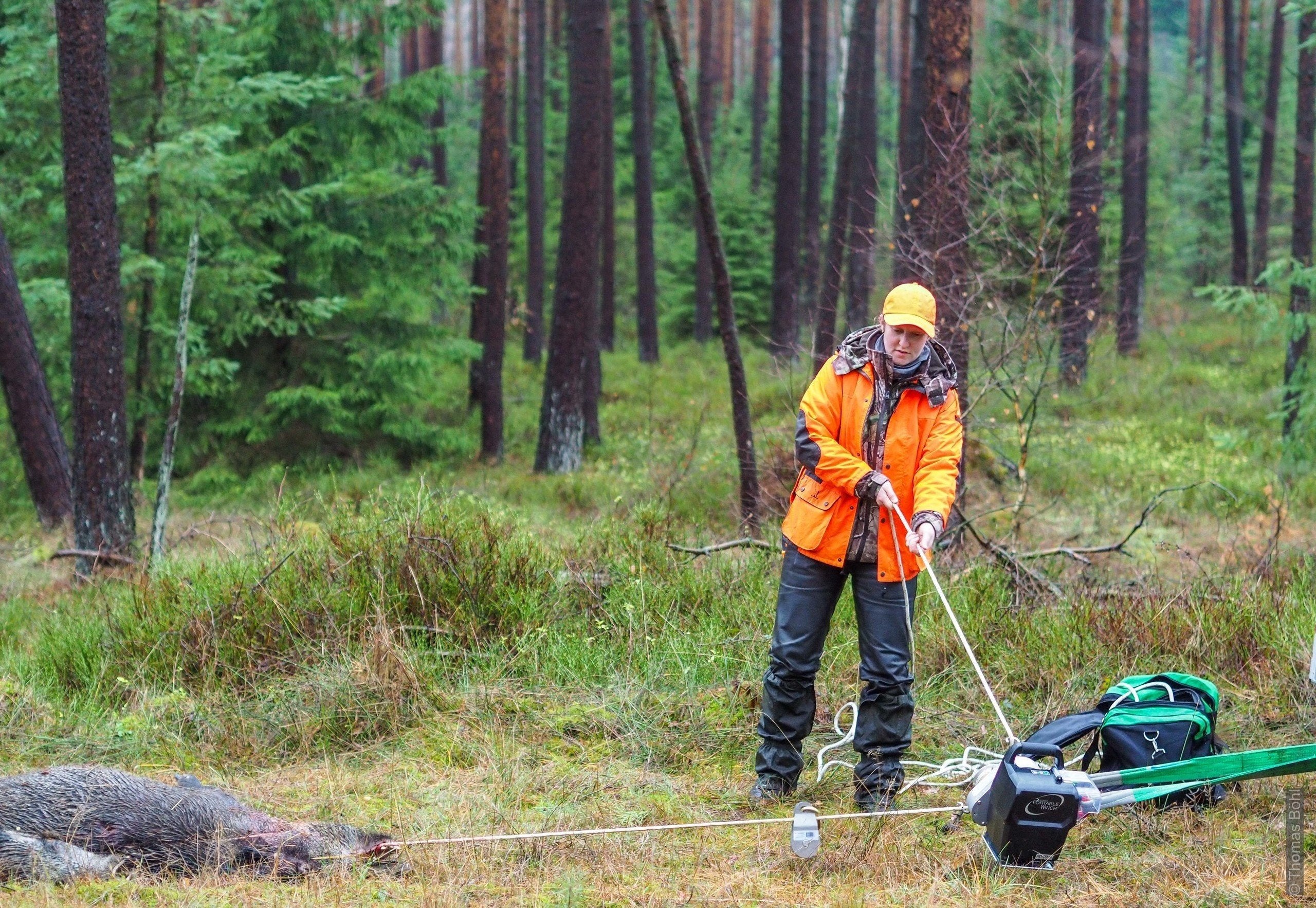 Orange-schwarze Akku-Spillwinde mit robustem Design, bedient von Person in passender Schutzkleidung im Wald.