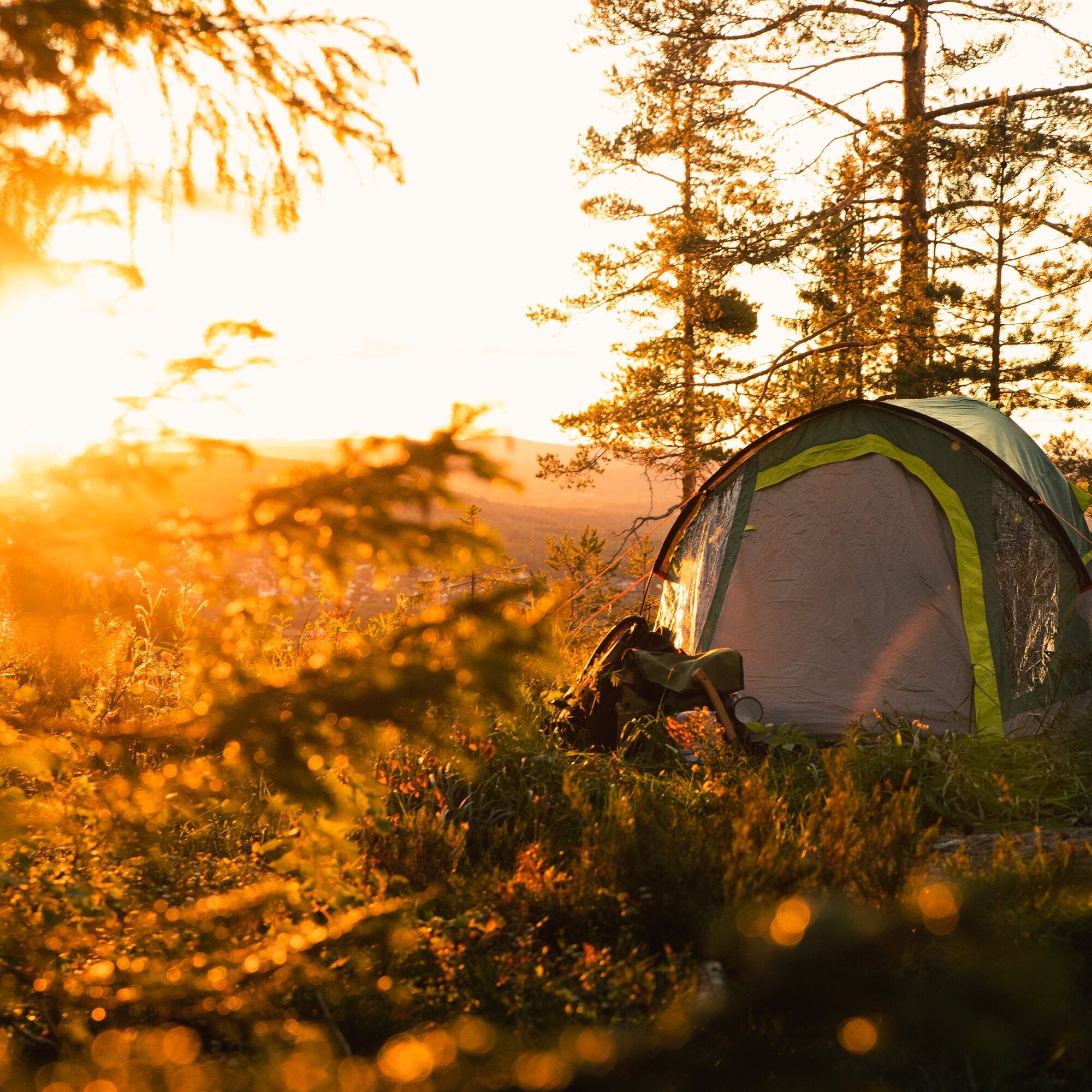 Goldenes Abendlicht über einer Campingwiese, Gras und Blüten, rechts ein graugrünes Kuppelzelt Kobuk Valley Plus 3, dahinter Bäume
