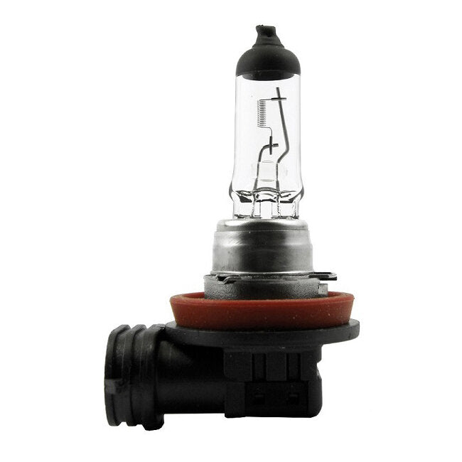 Halogenlampe mit Glaskolben, sichtbarem Glühfaden und PGJ19-2-Sockel, schwarzer Kunststoff- und Metallfuß mit roter Dichtung