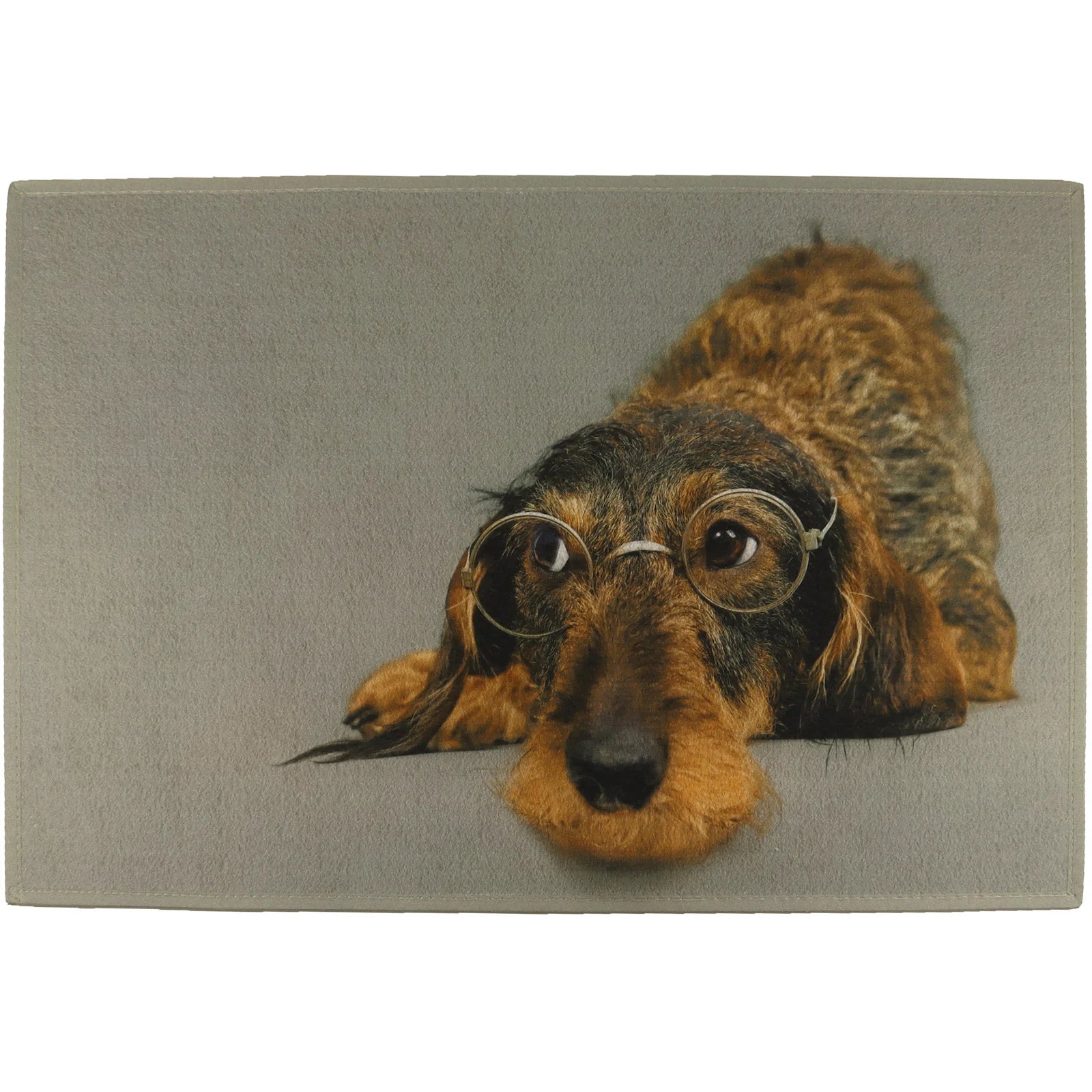 AKAH Fußmatte Dackel mit Brille 75 × 50 cm