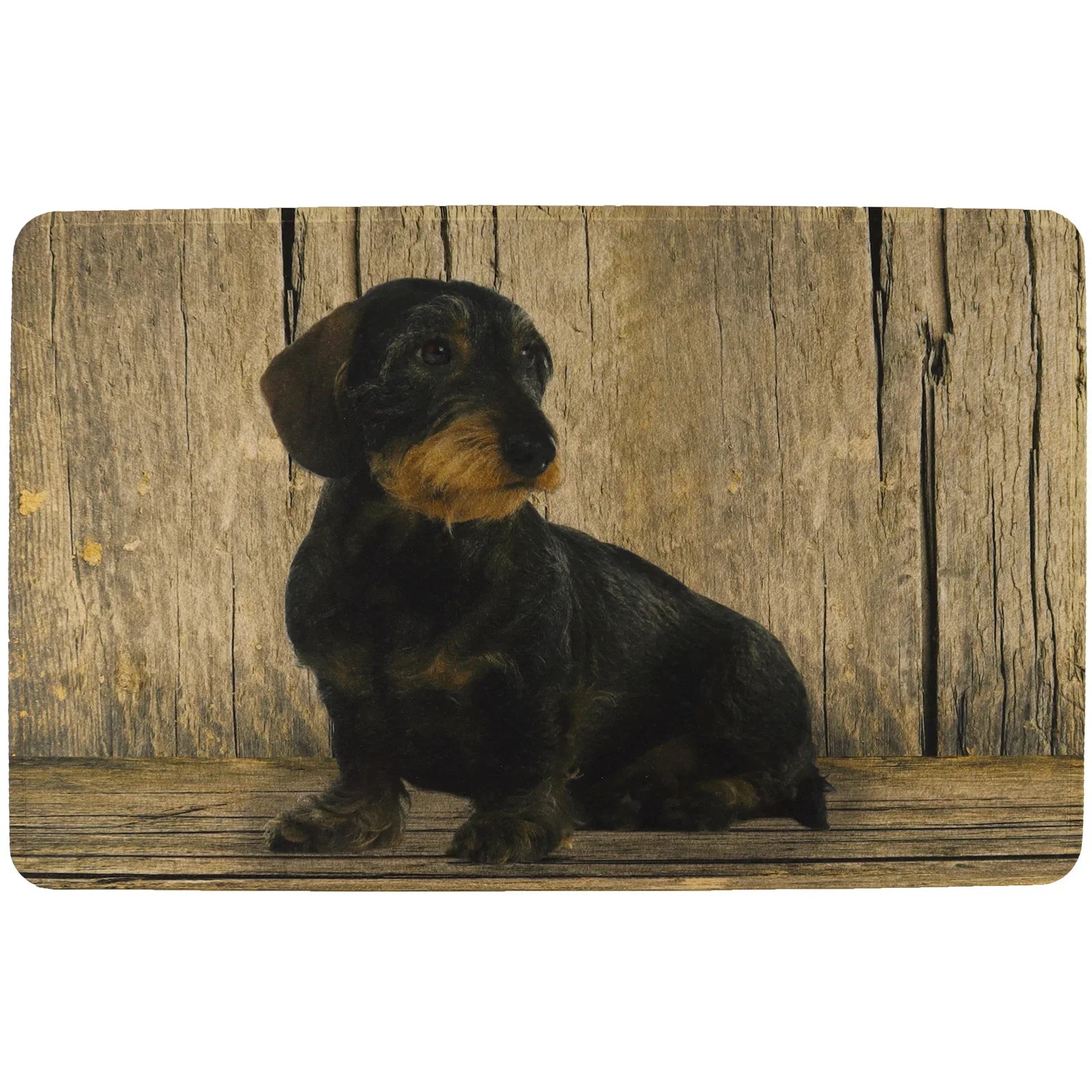 AKAH Fußmatte Dackel 75 × 50 cm von AKAH – Frankonia Artikel 78757001