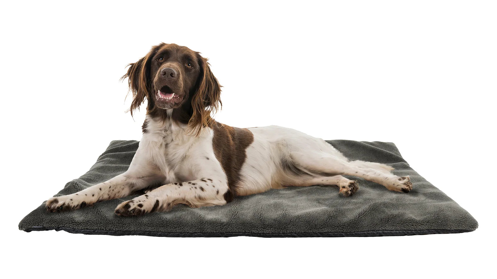 AKAH NaturVital Hunde-Thermobett 100x120 – Produktansicht