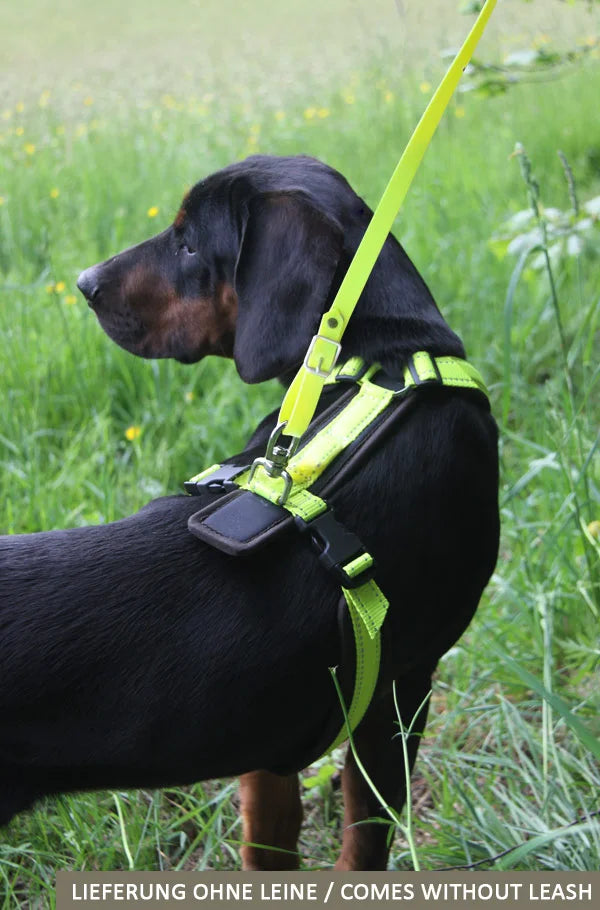 AKAH Brustgeschirr Tracker neongelb Gr. L – Ansicht 4