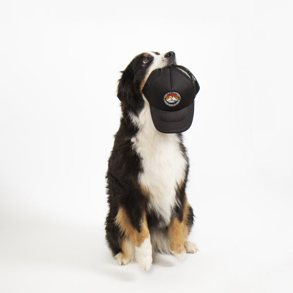 Reimo Trucker-Cap LIFE IS A JOURNEY – Schwarz, verstellbar