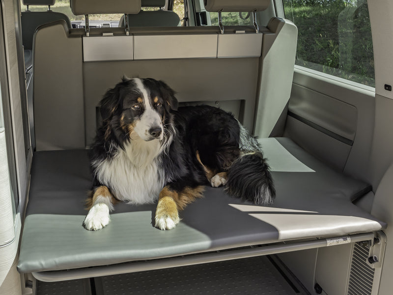 Reimo Hundematratze - Heckauflage für VW T5/T6 California