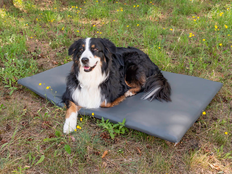 Reimo Hundematratze - Heckauflage für VW T5/T6 California