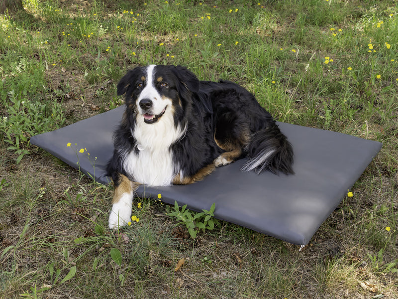 Reimo Hundematratze - Heckauflage für VW T5/T6 California