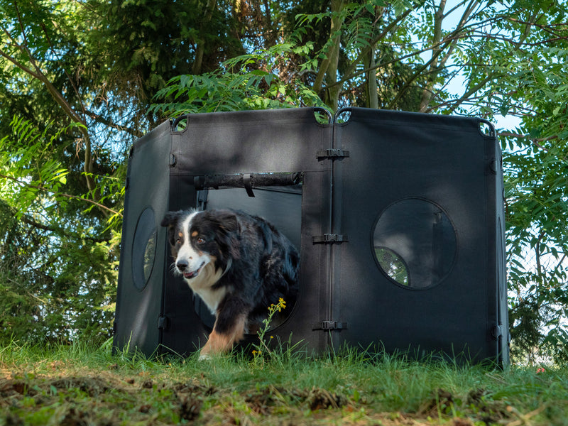 Camp4 Faltbares Hundefreigehege