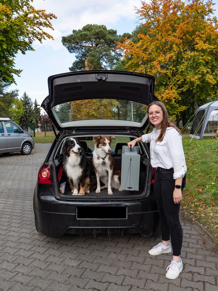 Camp4 Kunststoff Hunderampe Emma