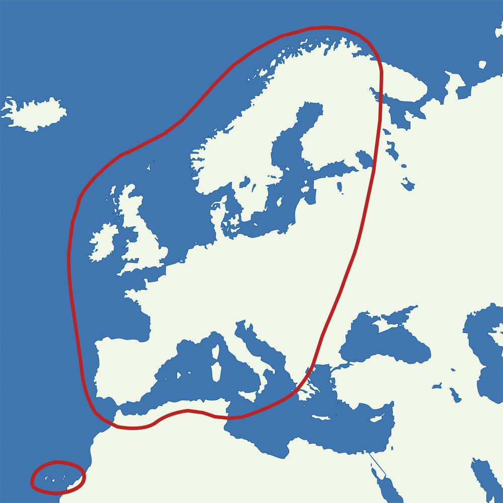 Karte Europas mit blauem Meer; eine rote Linie umkreist den Kontinent und markiert einen Kreis um die Kanarischen Inseln