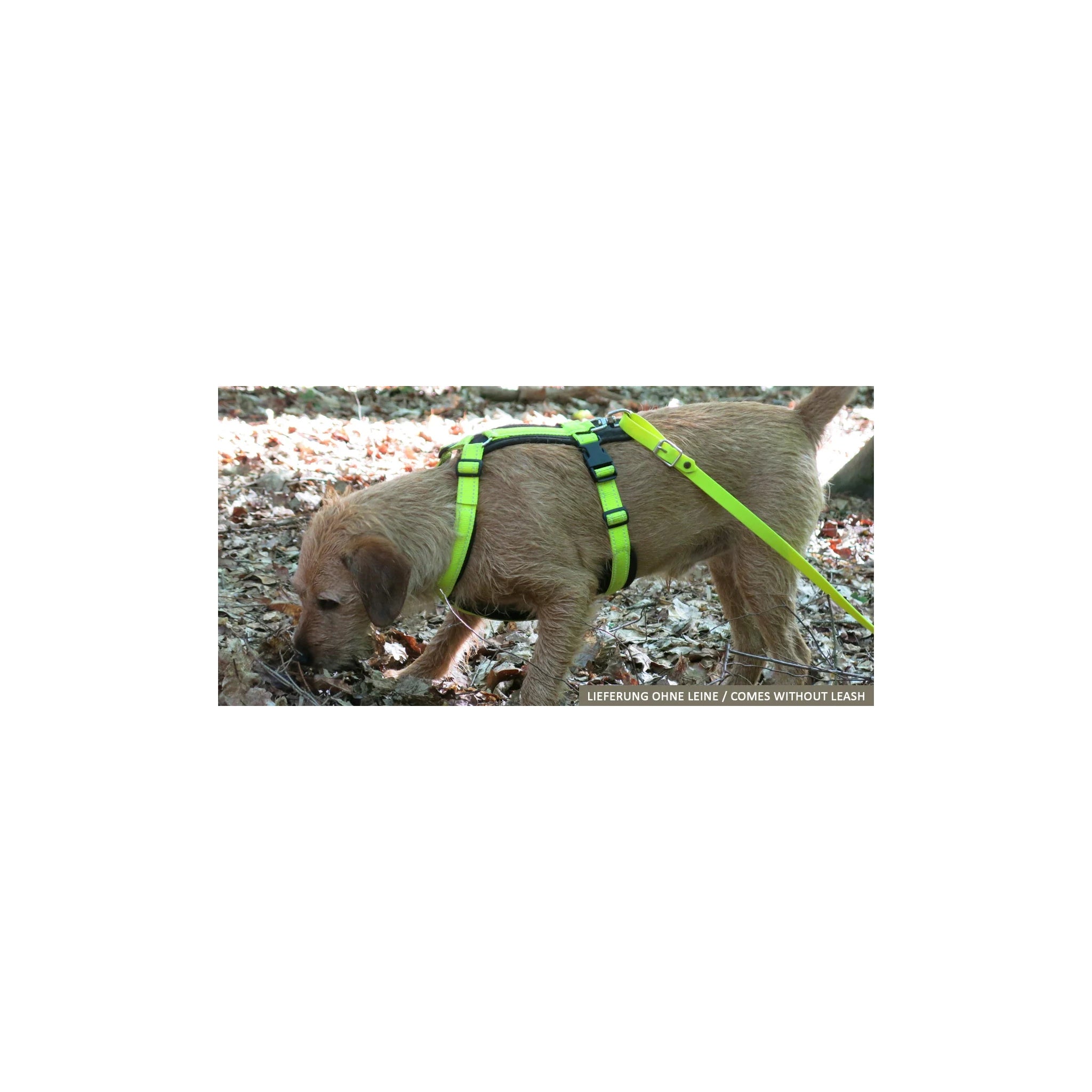 AKAH Brustgeschirr Tracker neongelb Größe S an einem Jagdhund im Wald