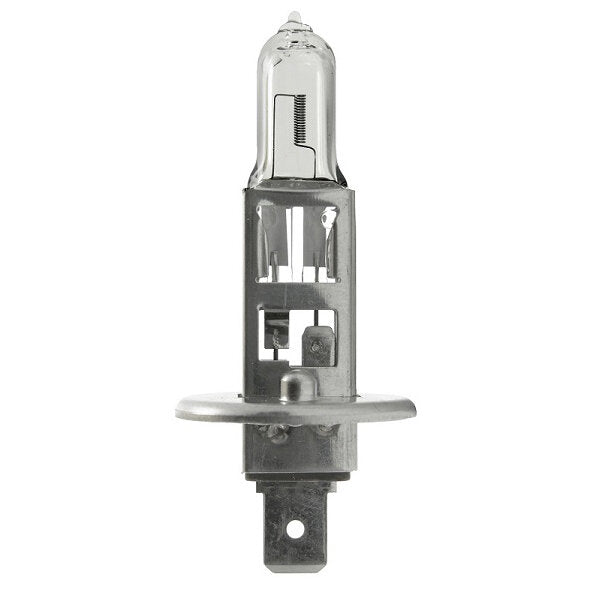 Halogenlampe mit Glaskolben, metallischem Trägerrahmen und sichtbarem Filament, P14,5s Sockel