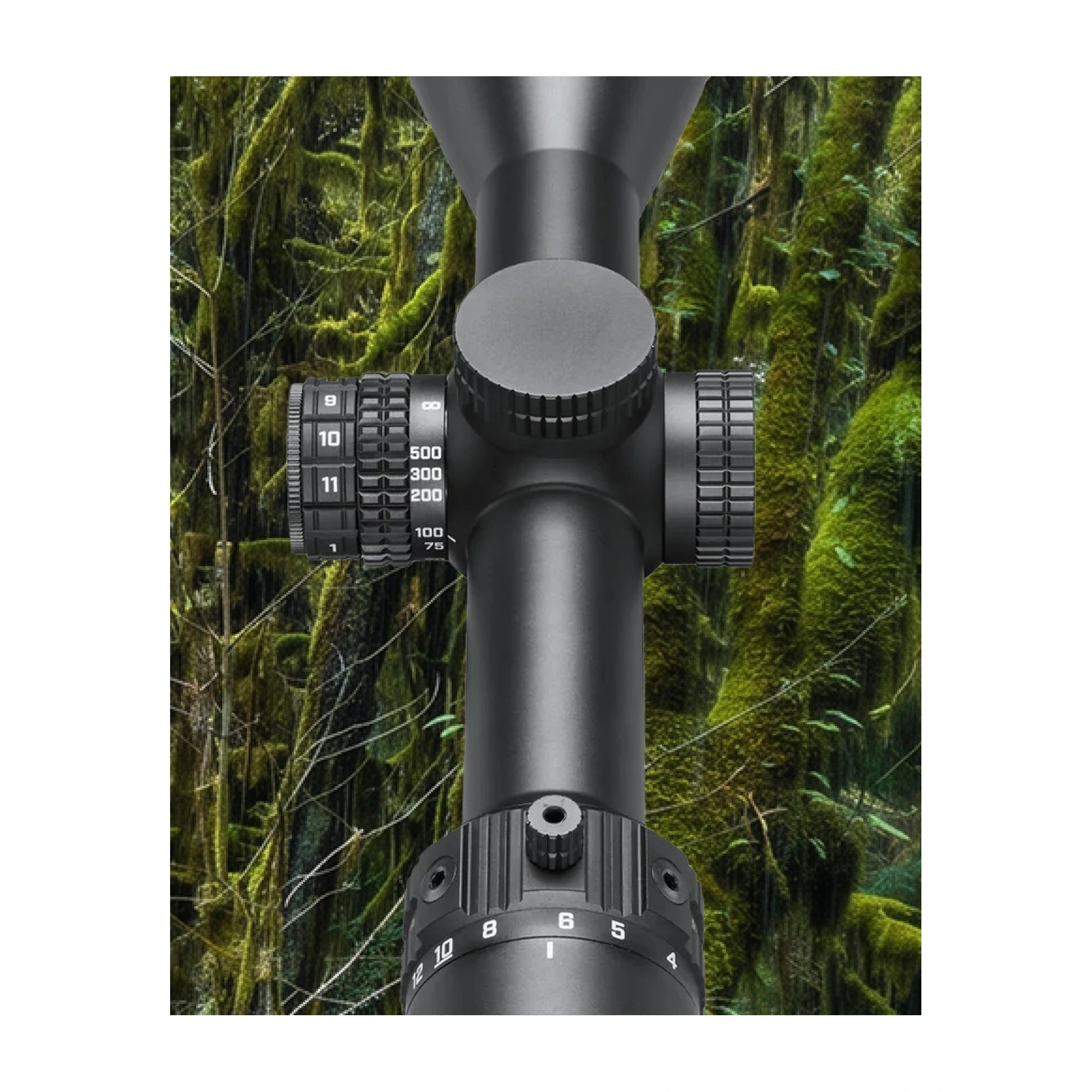 Bushnell R7 3–15×50 FFP mit Seitenfokus und Bedienelementen vor Waldmotiv
