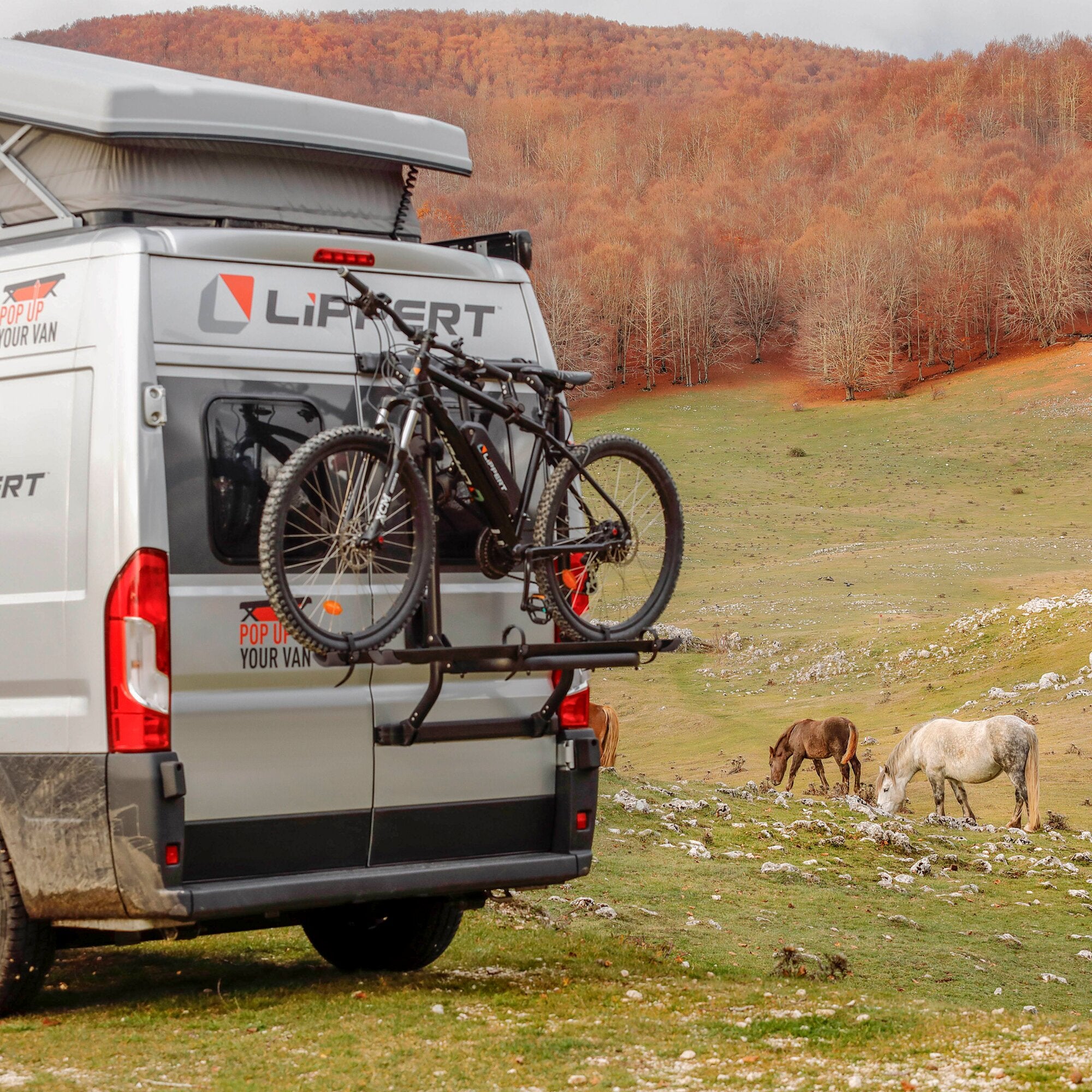 Fahrradträger R-Bike Van für Ford Transit Gen. 7