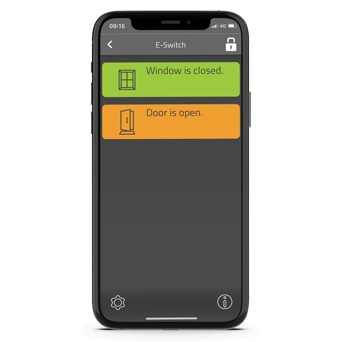 E-Switch Sensor zur Überwachung von Türen und Fenstern