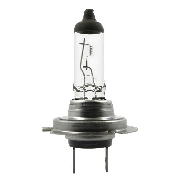 Halogenlampe PX26d mit klarem Glaskörper, sichtbarer Wicklung, metallischem Sockel mit zwei Stiften unten und schwarzen Keramikkopf