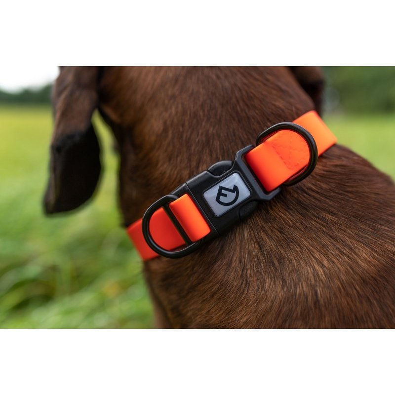 Farm-Land Halsband Verstellbar Signalorange – Schnellverschluss