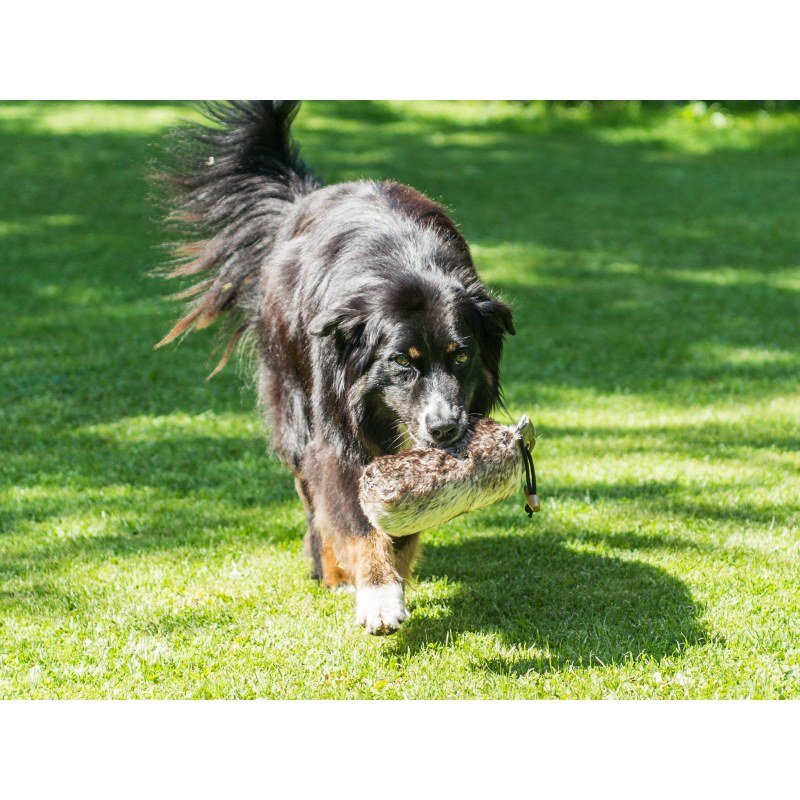 Farm-Land Hunde Dummy Komplettfell – Wurfkordel