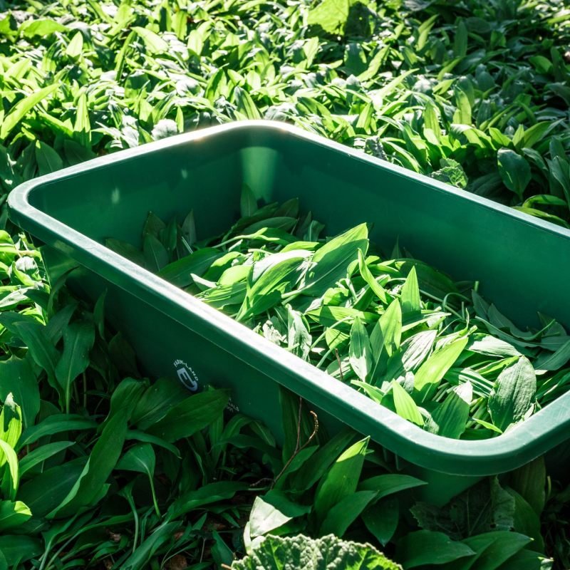 Farm-Land Wildwanne 60 Liter – Seitenansicht