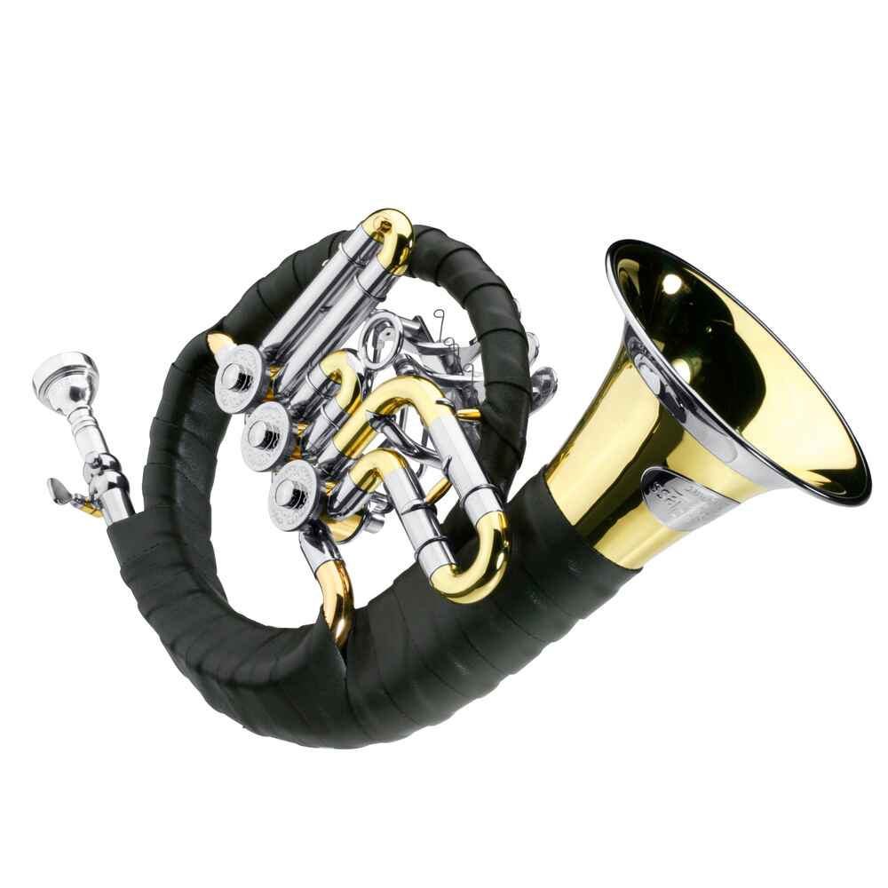 Dotzauer Fürst-Pless-Horn de Luxe in B mit 3 Zylinderventilen