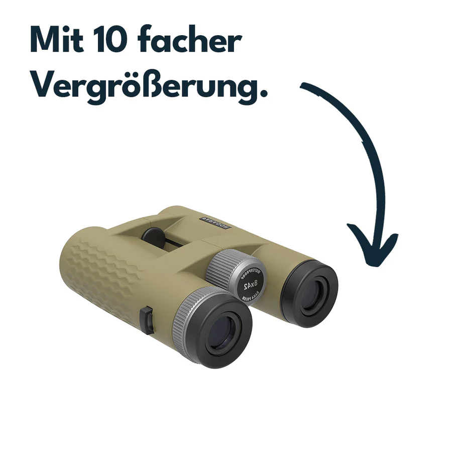 VectorOpticsVector Optics SCBO - 13 Paragon 10x42 HD - Black Raptor