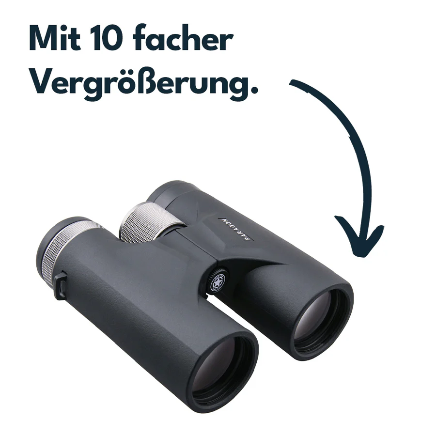 Vector Optics SCBO - 04 Paragon 10x42 - Black Raptor