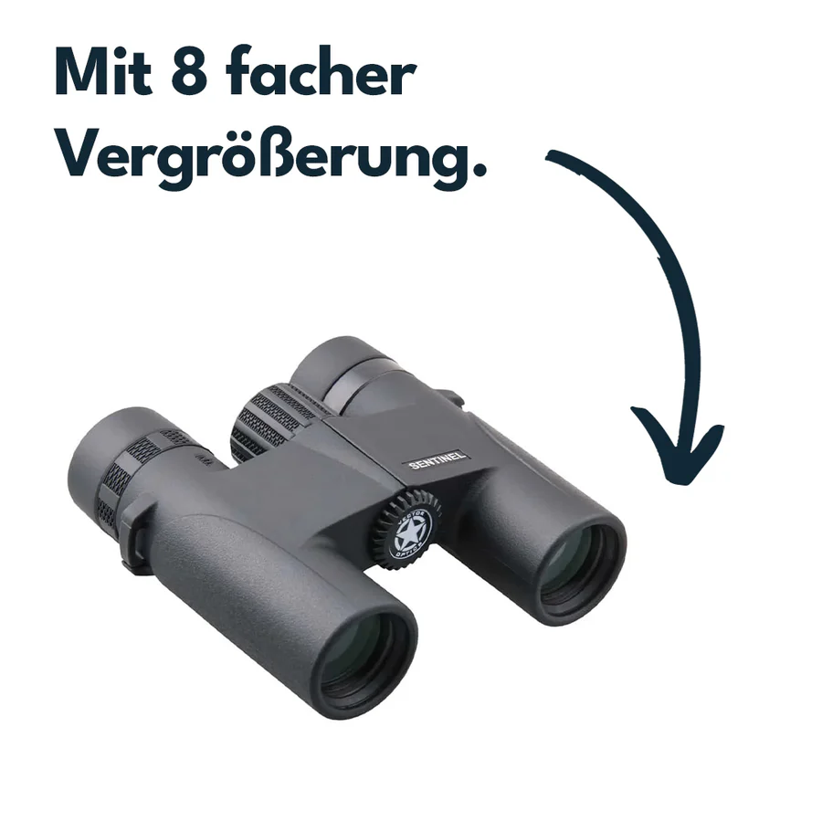 VectorOpticsVector Optics SCBO - 11 Sentinel 8x25 - Black Raptor