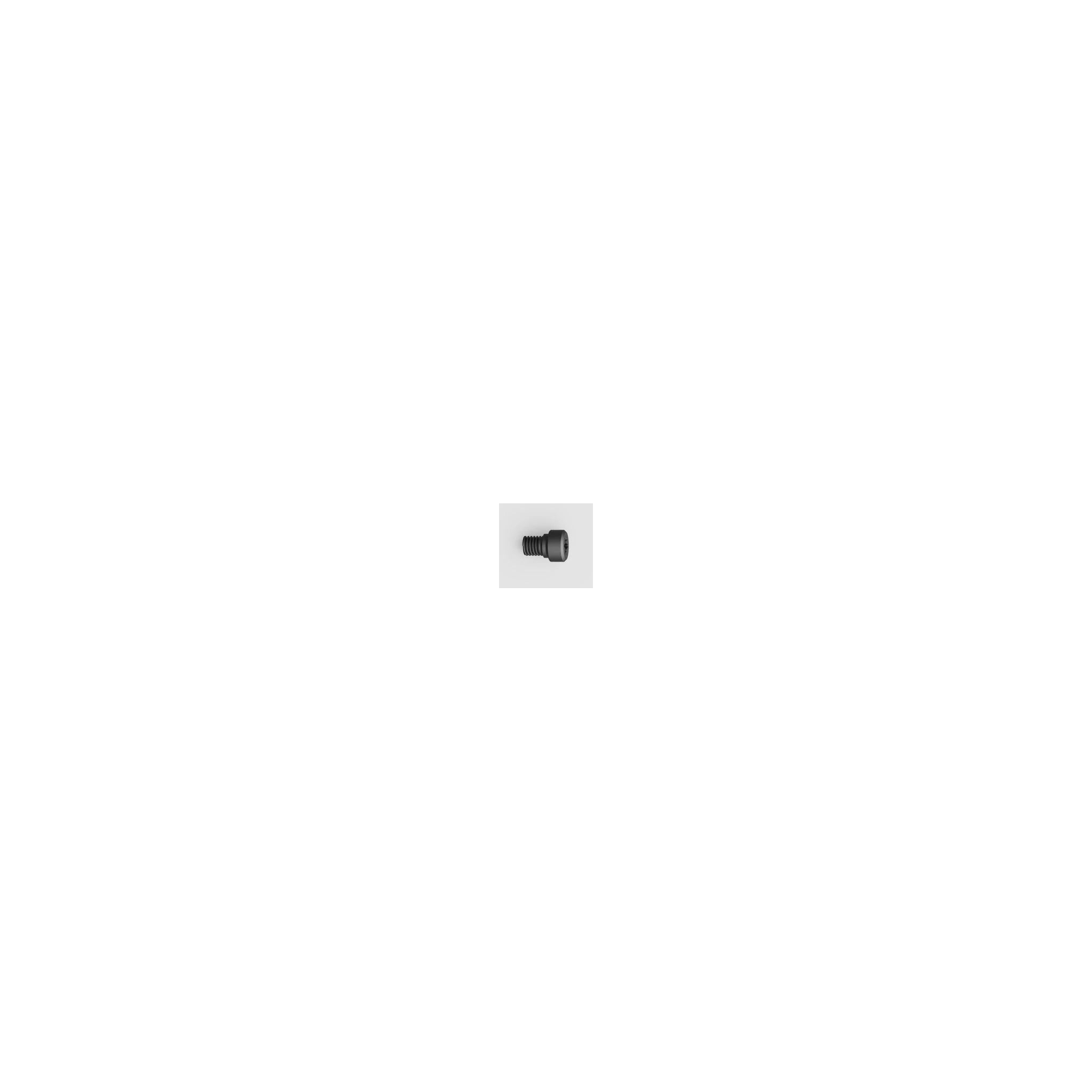 Leupold SCREW SOCKET HEAD 8-40 UNRS X .180 TORX NYLOK BLACK Optik-Ersatzteil – Ansicht 1
