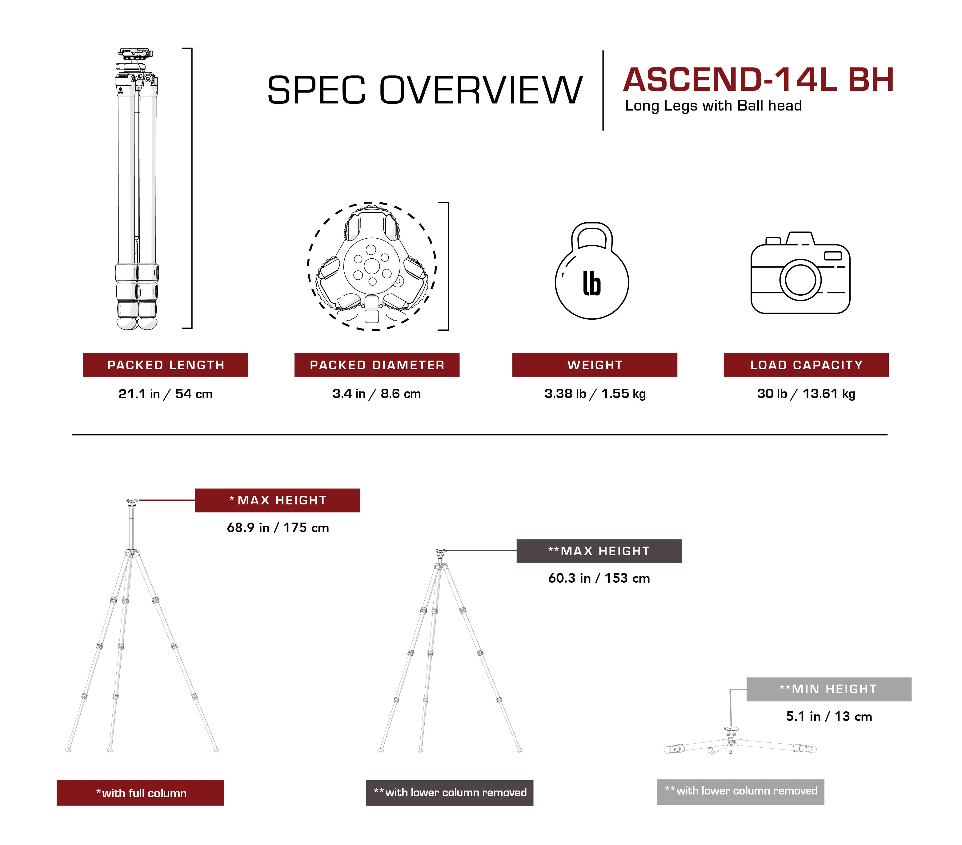 Really Right Stuff Ascend-14L-BH Karbonstativ mit integriertem Kugelkopf – Produktansicht 15