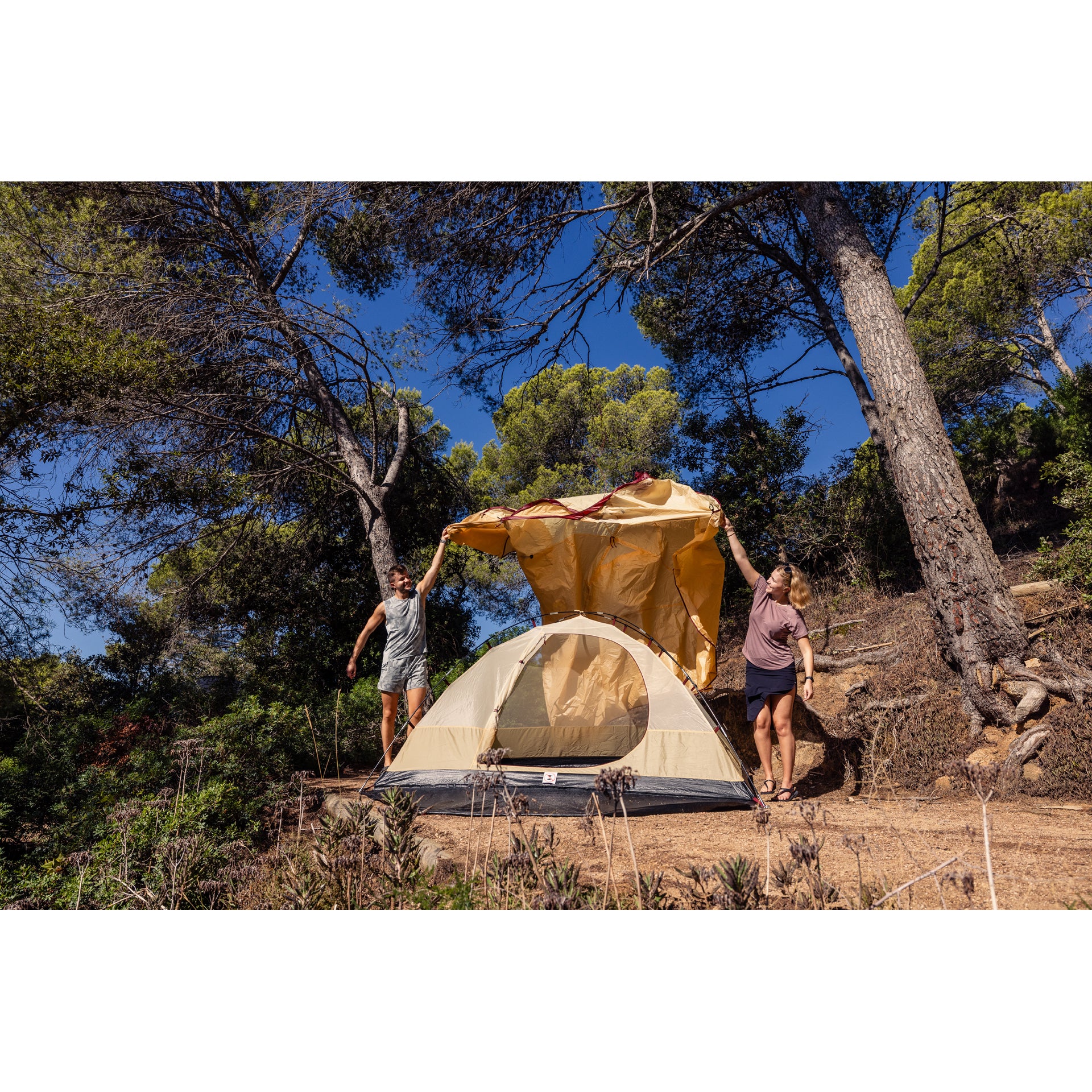 Coleman Zelt Darwin Summer Plus – Detailbild 3