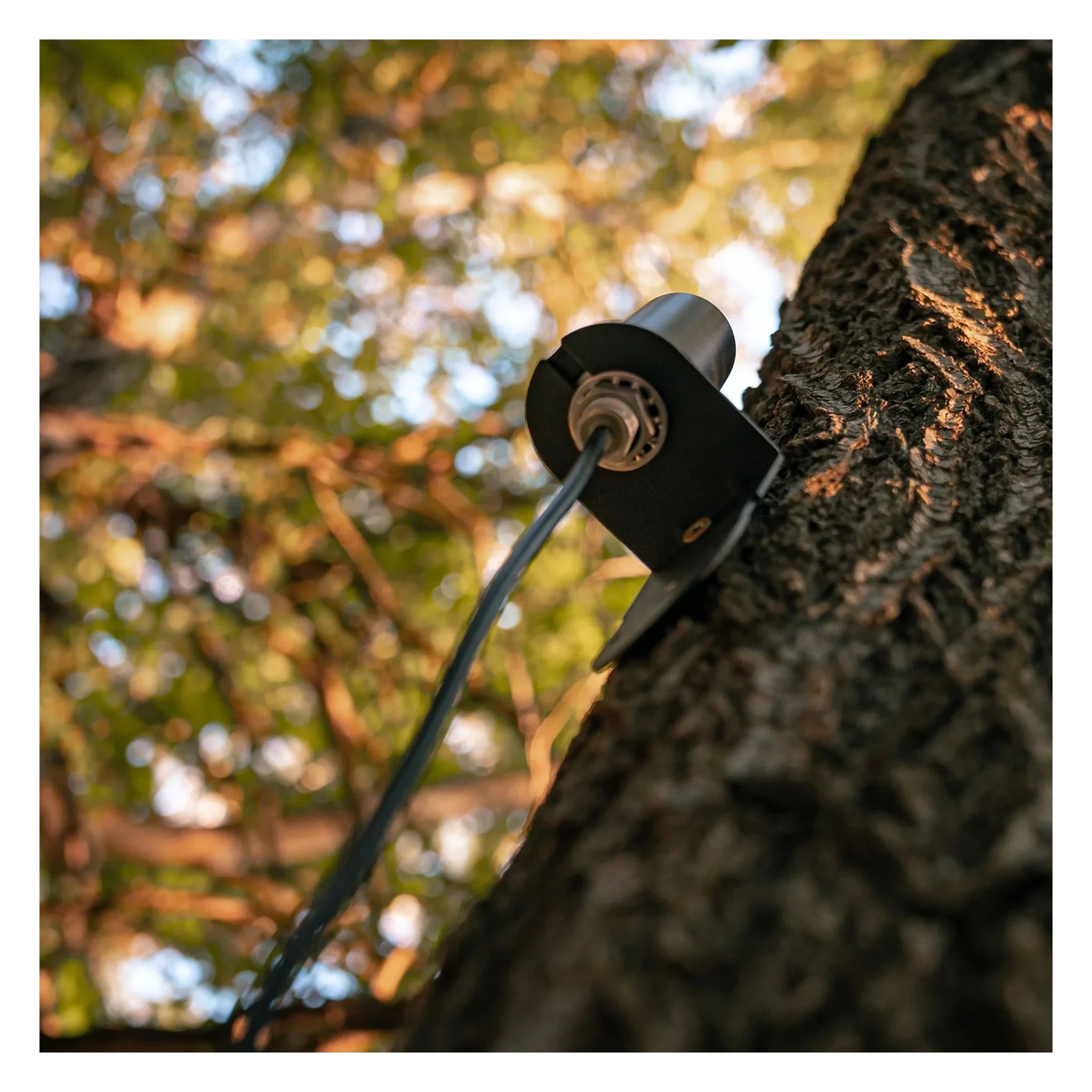 SPYPOINT CA-01 Halterung und Kabel bei Reviermontage