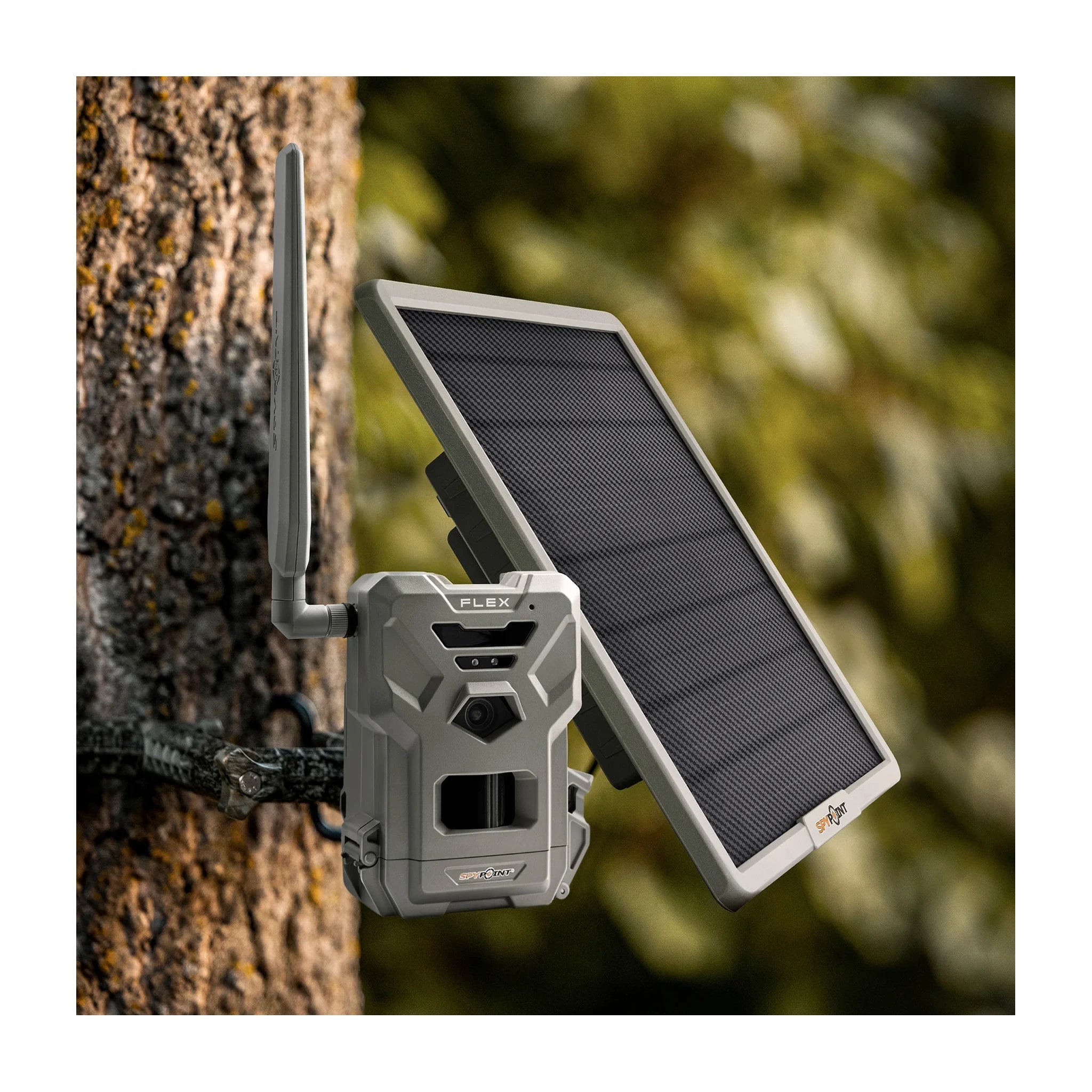SPYPOINT SPLB-22 Solar-Powerbank neben einer SPYPOINT FLEX Wildkamera am Baum