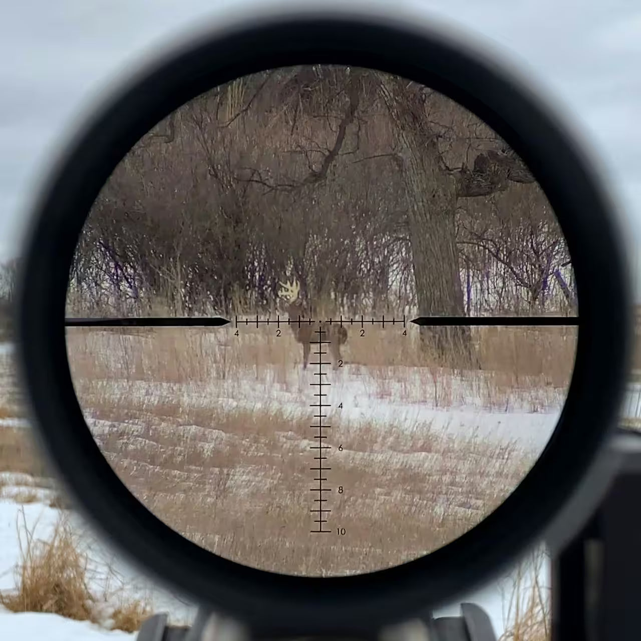 Vortex Razor LHT 3-15x42 HSR-5i MRAD
