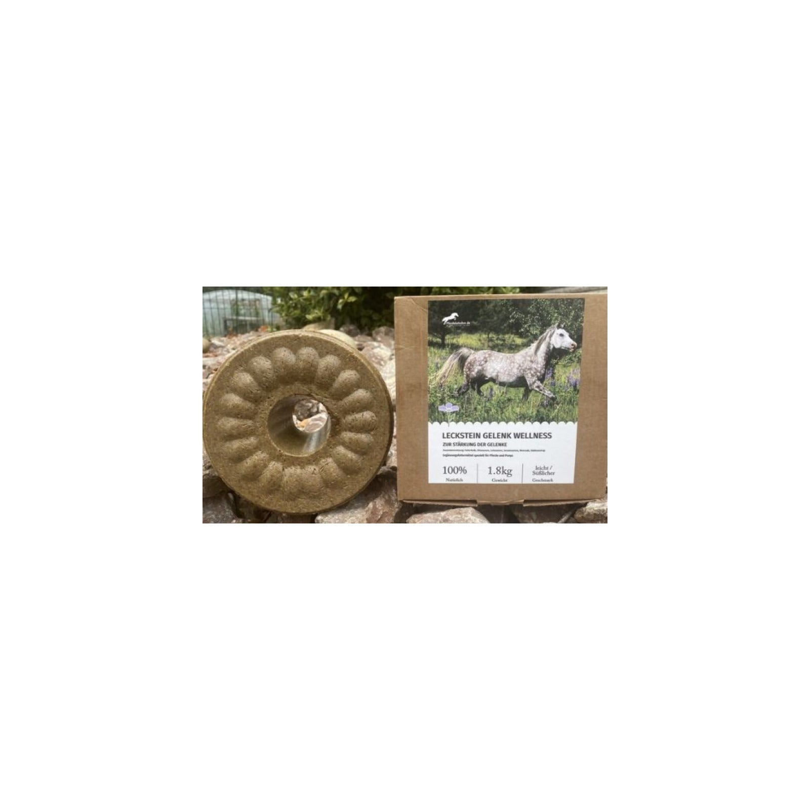 Wildlutscher Leckstein für Pferde und Ponys Chiasamen 1,8 kg