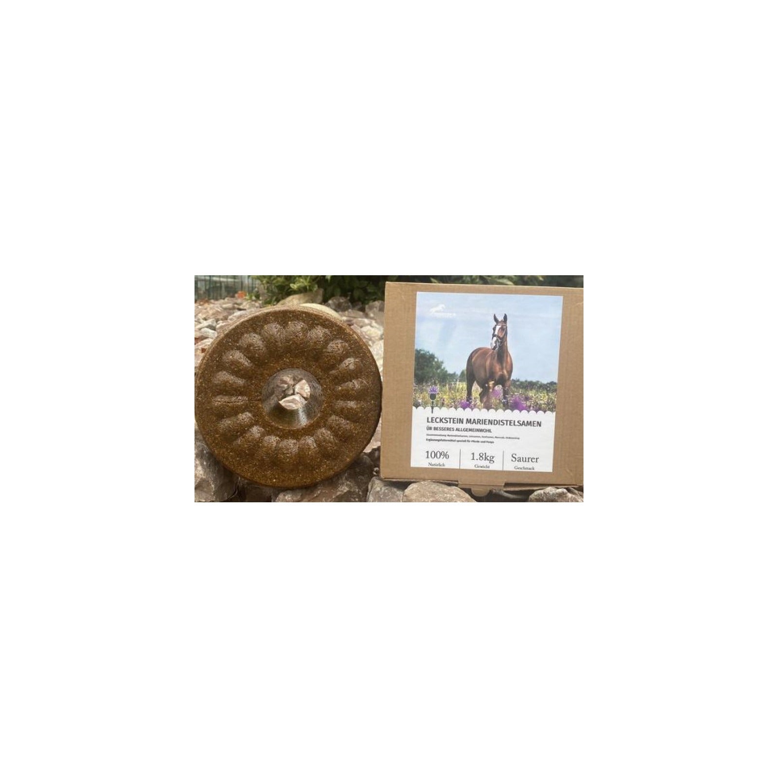 Wildlutscher Leckstein für Pferde und Ponys Mariendistelsamen 1,8 kg