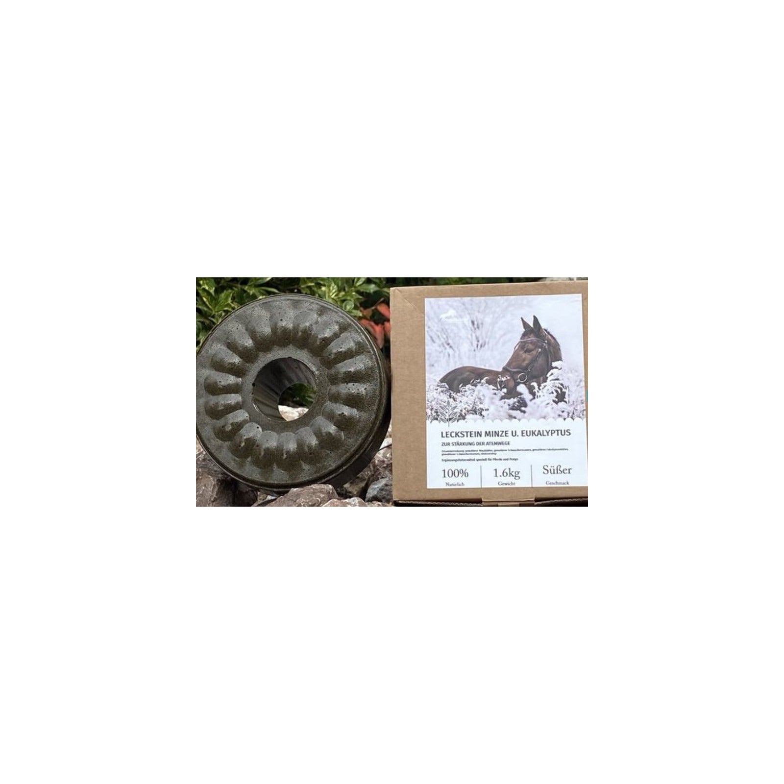 Wildlutscher Leckstein für Pferde und Ponys Minze und Eukalyptus 1,6 kg